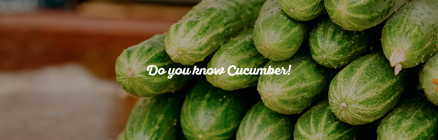 Do you know CUCUMBER?