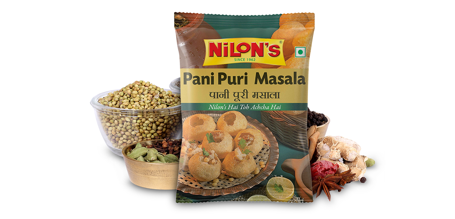 Pani Puri Masala