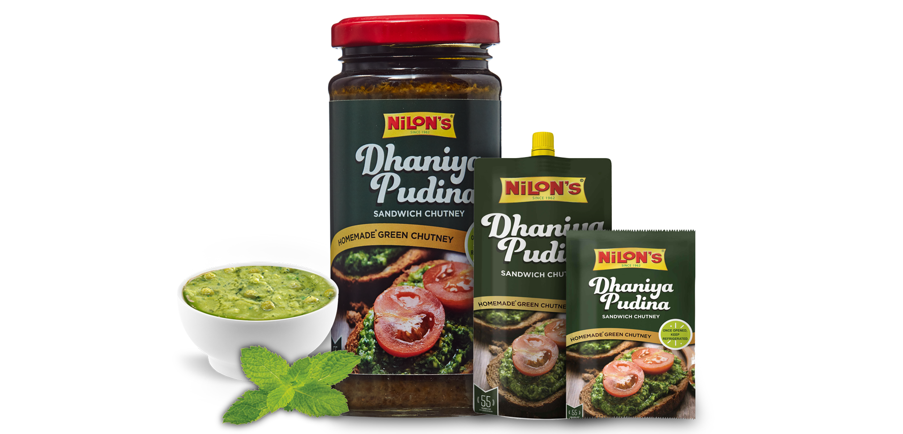 Dhaniya Pudina Chutney